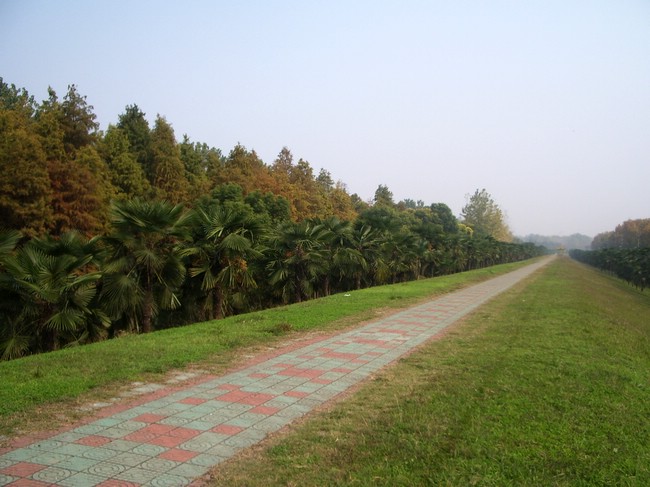 2011122221503259608.jpg