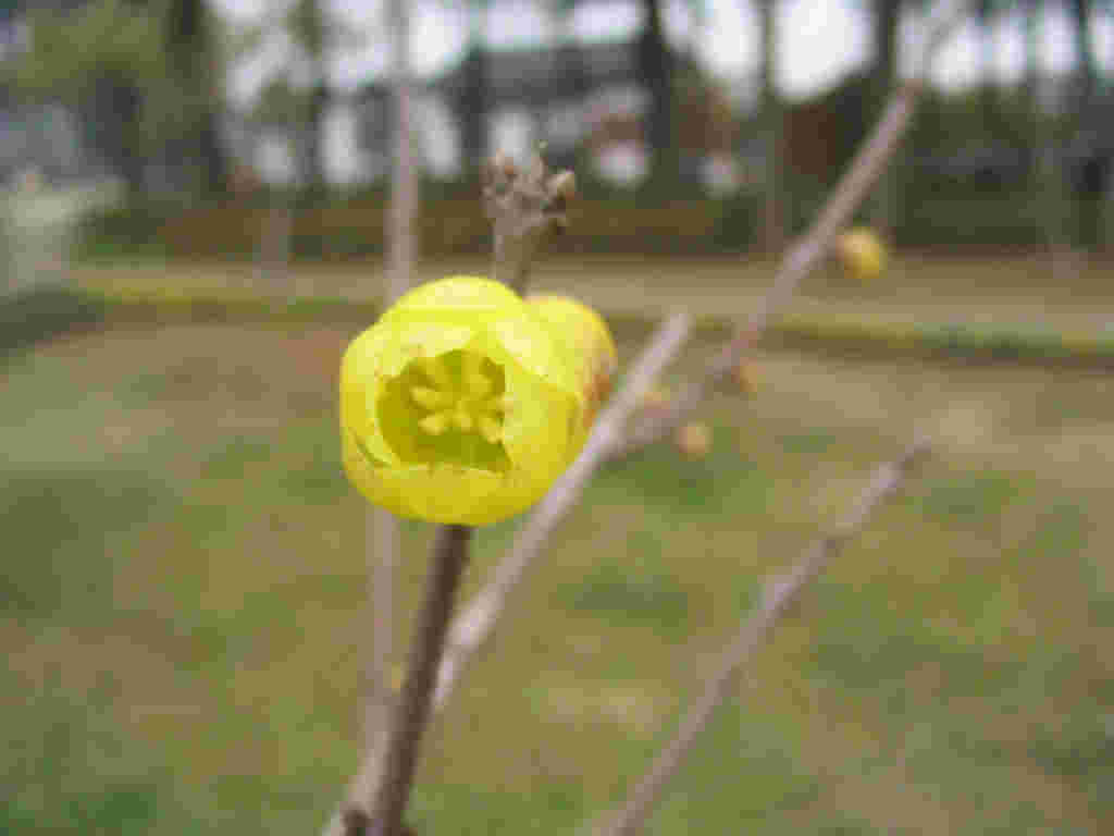 img_7636.jpg