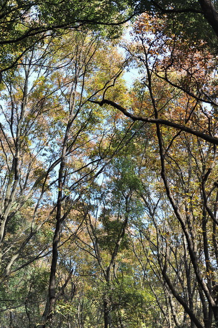 20111211 ж361 242.jpg