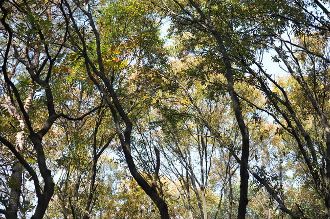 20111211 ж361 243.jpg