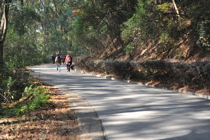 20111211 ж361 244.jpg