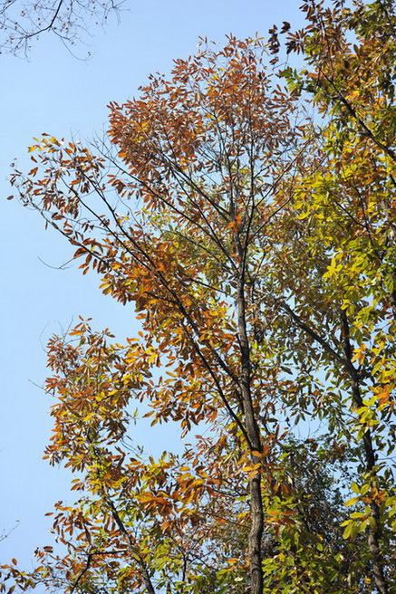 20111211 ж361 247.jpg