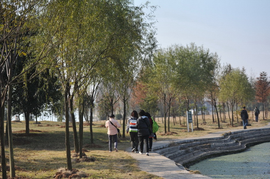 20111211 ж361 204.jpg
