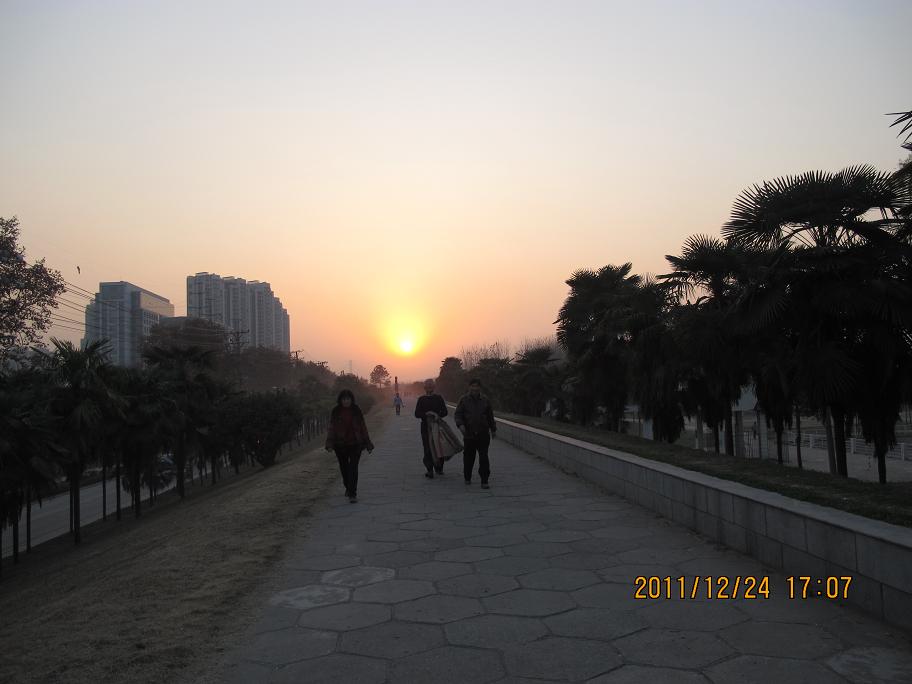 img_1529.jpg