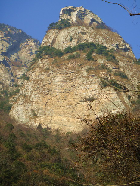 dsc01415.jpg