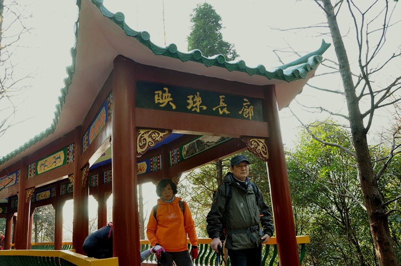 dsc_0020_����.jpg