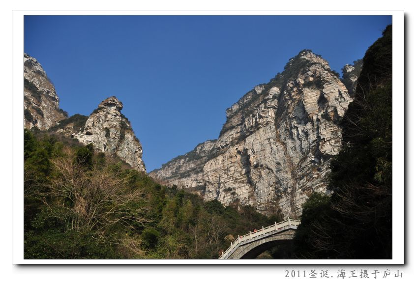 neo_img_dsc_0043.jpg
