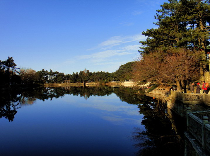 dsc01638.jpg