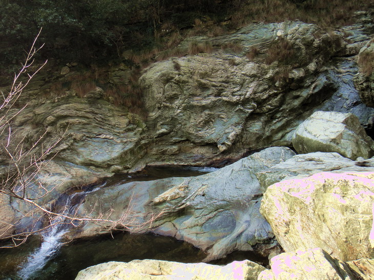 dsc01449.jpg