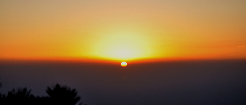 dsc_0263_.jpg