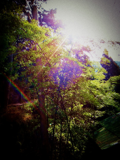 dsc01796_.jpg