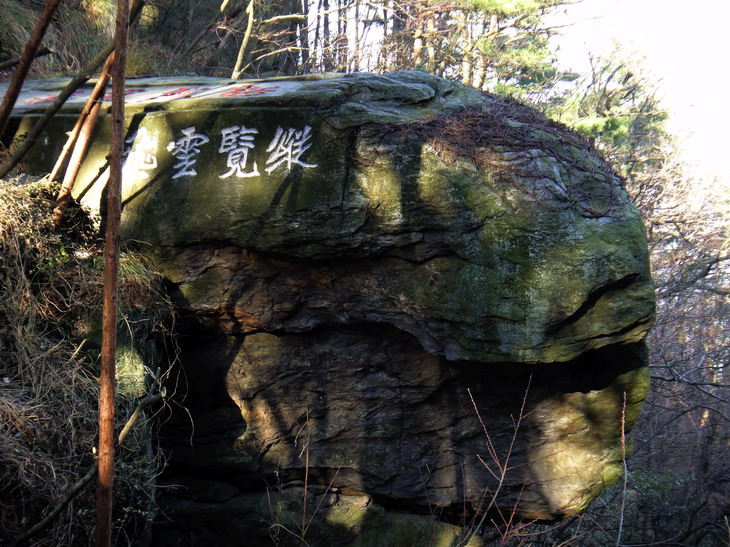 dsc01777.jpg