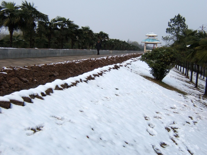 dscf7410.jpg