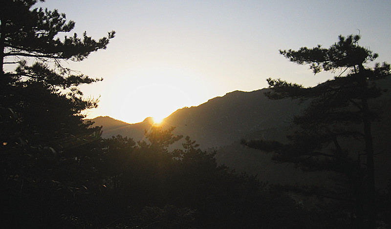 img_7335_1.jpg
