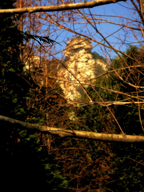 dsc01396.jpg