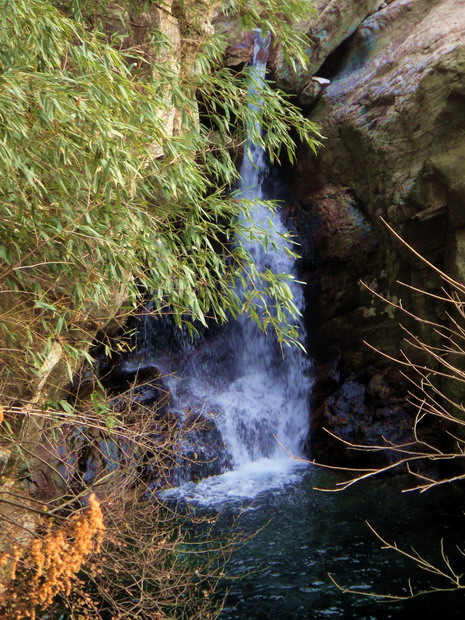 dsc01421.jpg