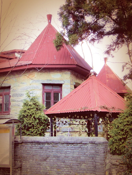 dsc01629_.jpg