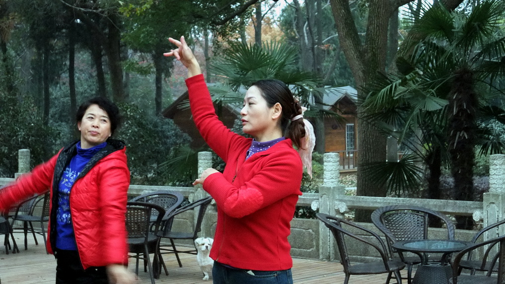 dscf8176.jpg