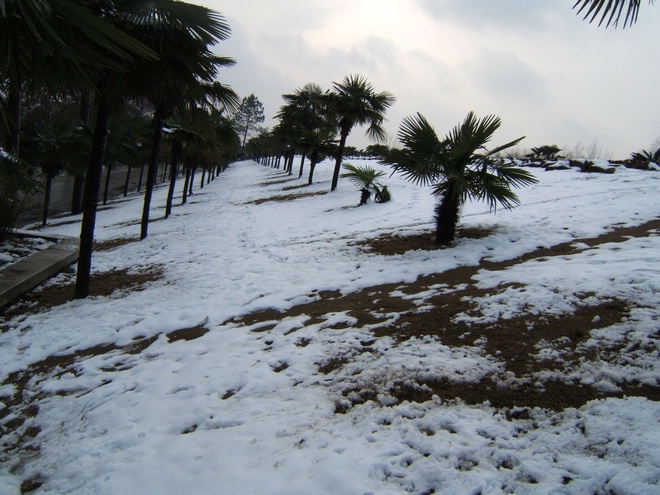 dscf7392.jpg