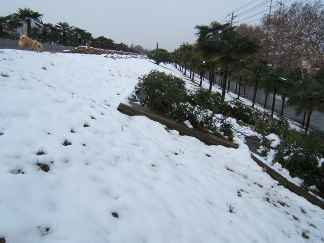dscf7407.jpg