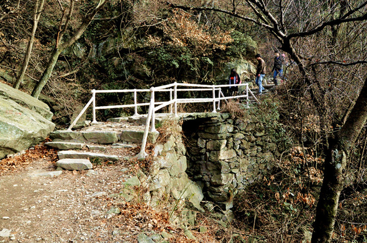 dsc_0420__.jpg