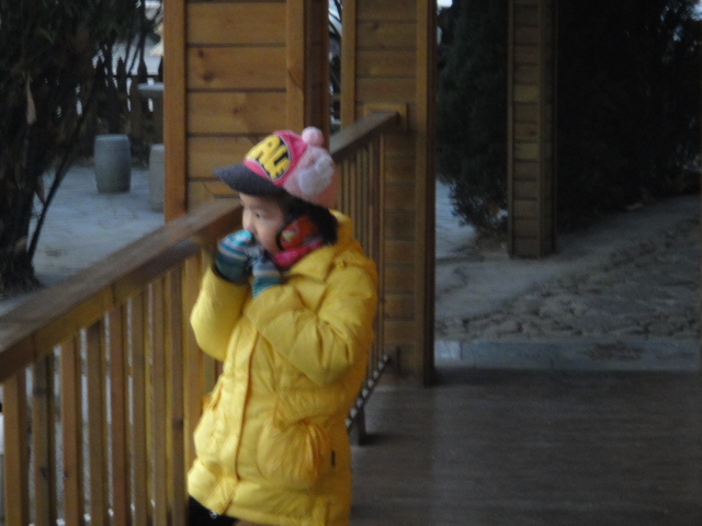 dsc02897.jpg