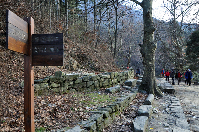 dsc_0426_����.jpg