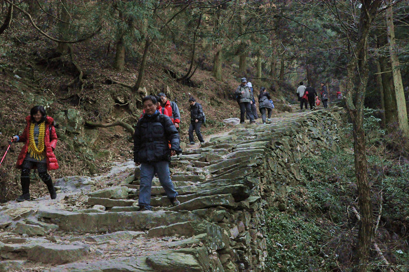 dsc_0427_����.jpg