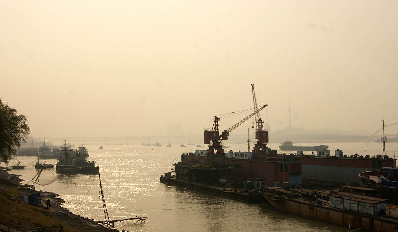 dsc02342.jpg
