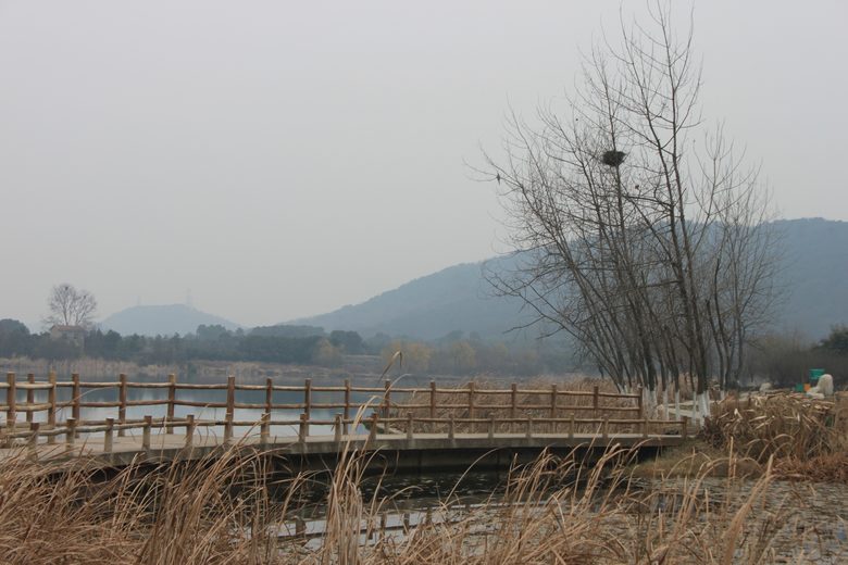 Ƭ 016.jpg