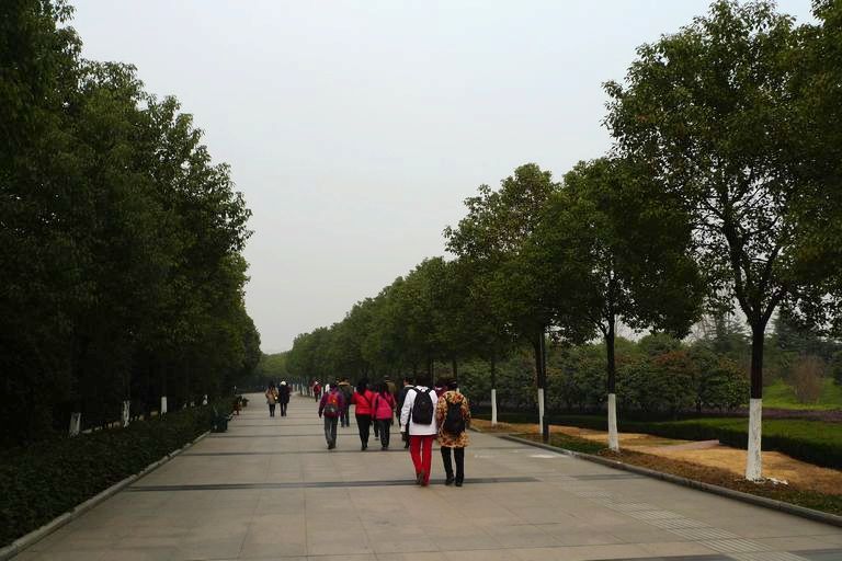 p1130011.jpg