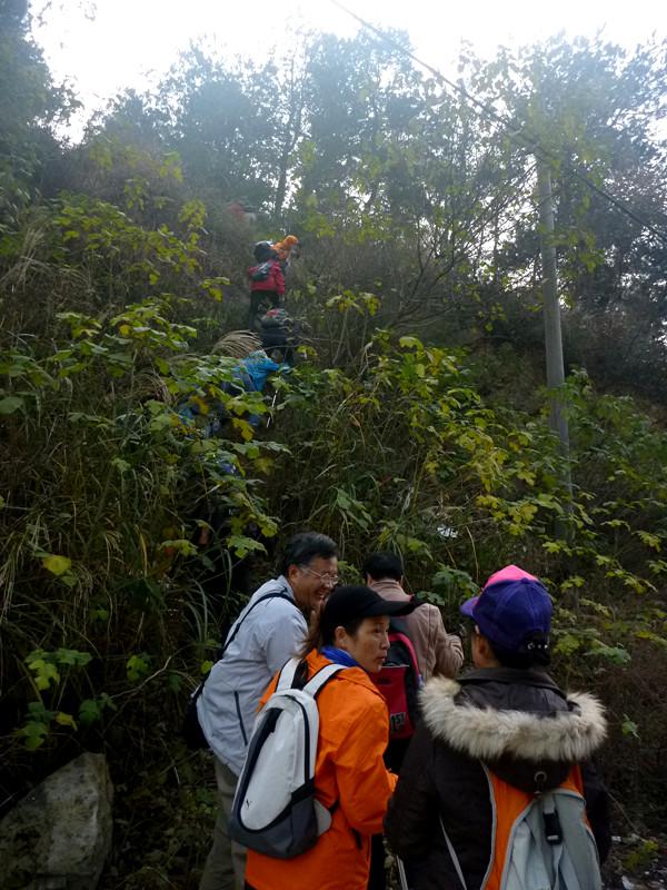 p1090706_.jpg