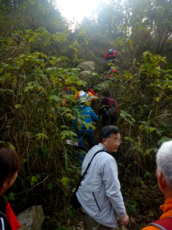p1090704_.jpg