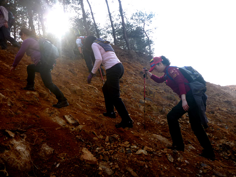 p1090720_.jpg