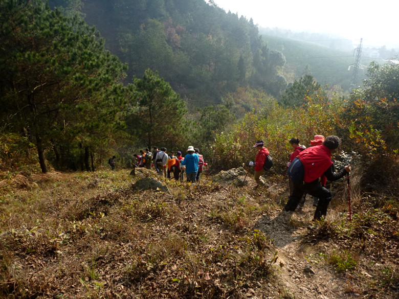 p1090725_.jpg