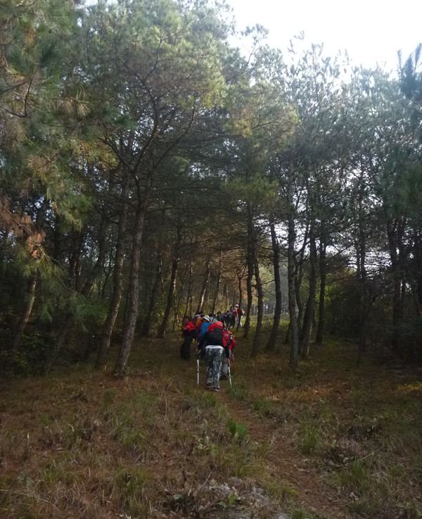 p1090721_.jpg