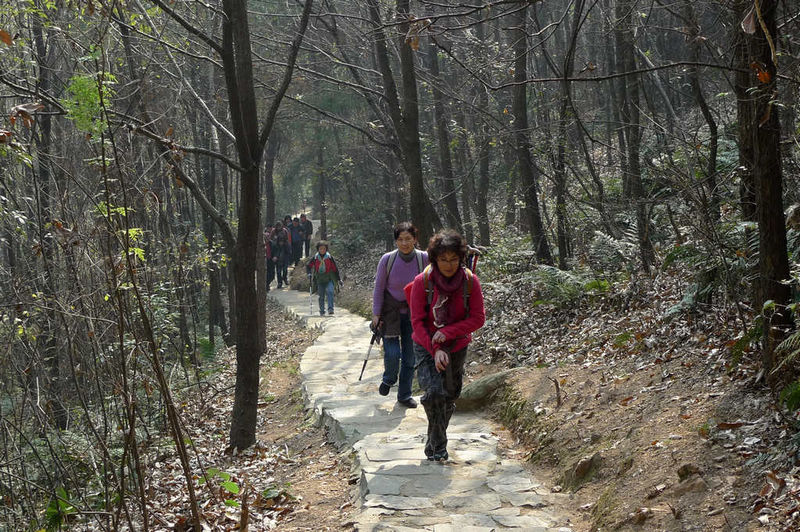 p1050840.jpg