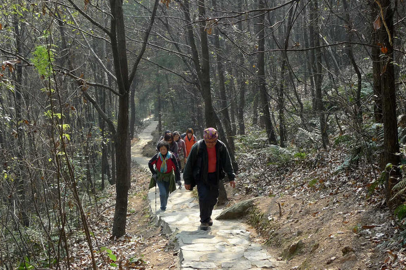 p1050842.jpg