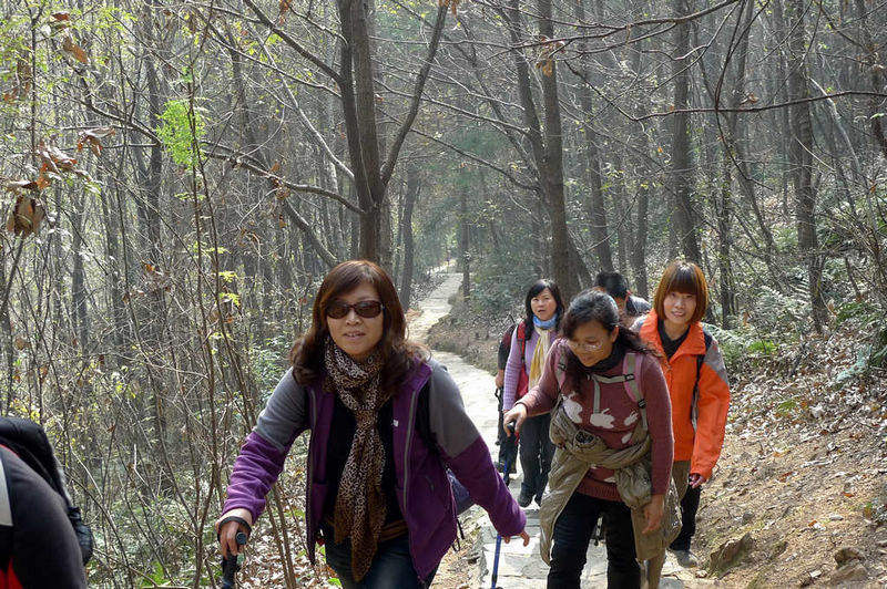 p1050844.jpg