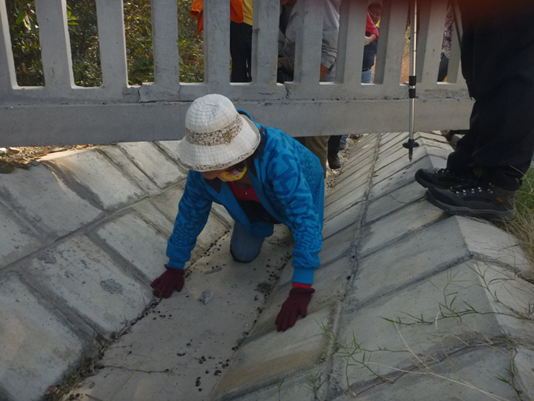 p1090730_.jpg