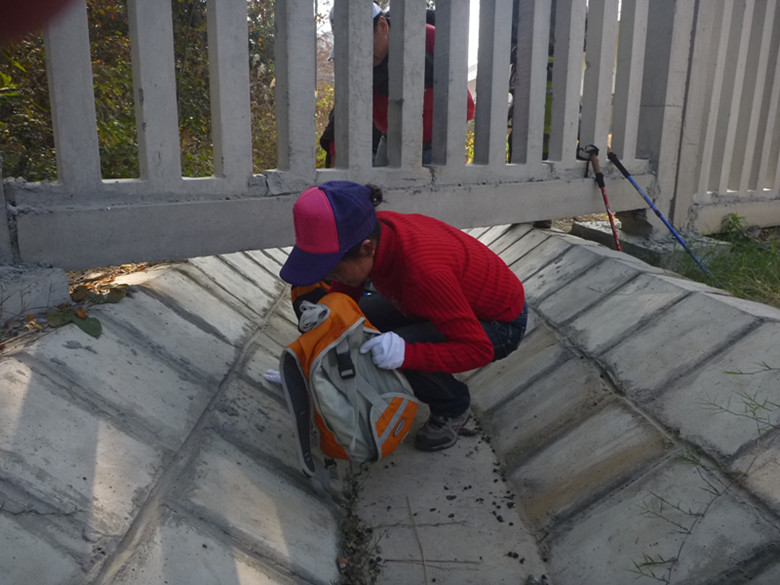 p1090735_.jpg