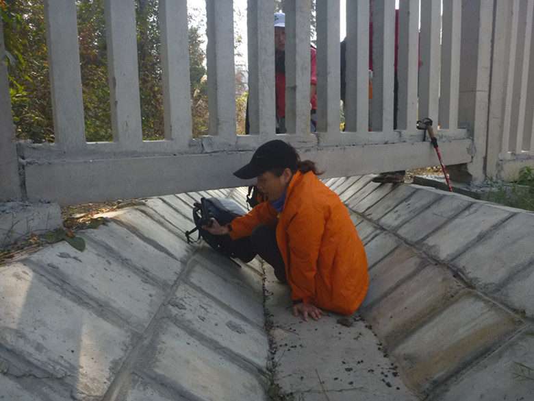 p1090734_.jpg