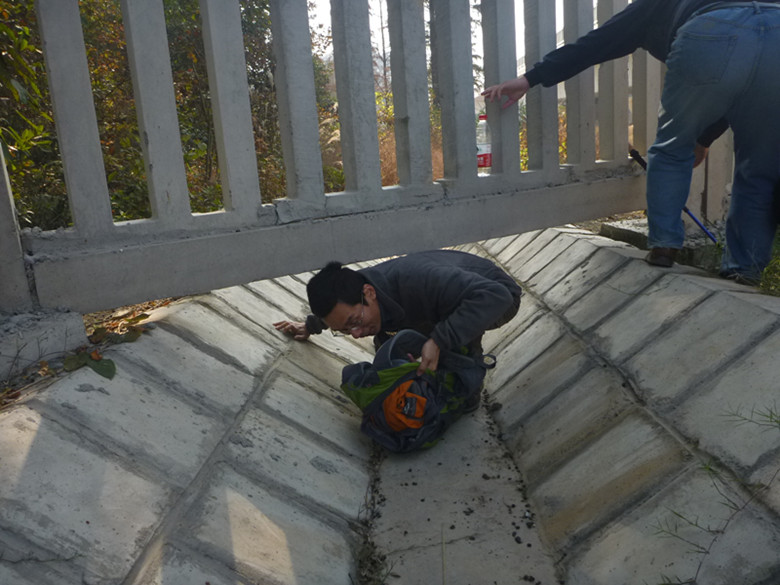 p1090738_.jpg