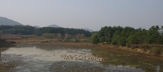 p1090742_.jpg