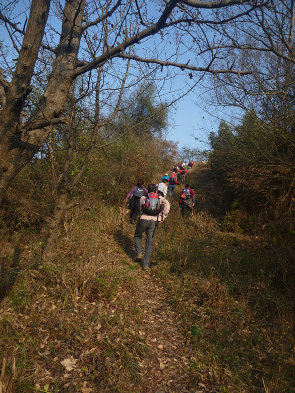 p1090745_.jpg