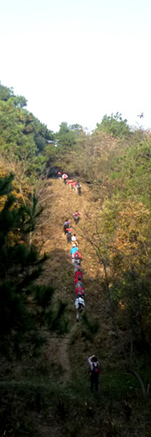p1090743_.jpg