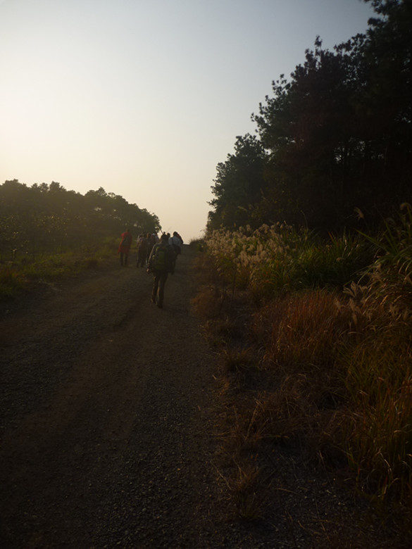 p1090757_.jpg