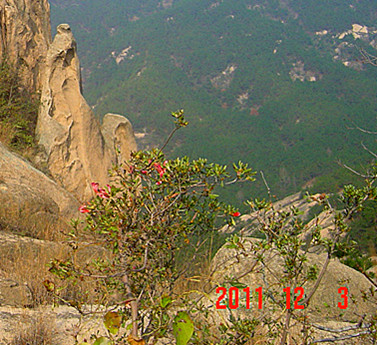 dsc02961_.jpg