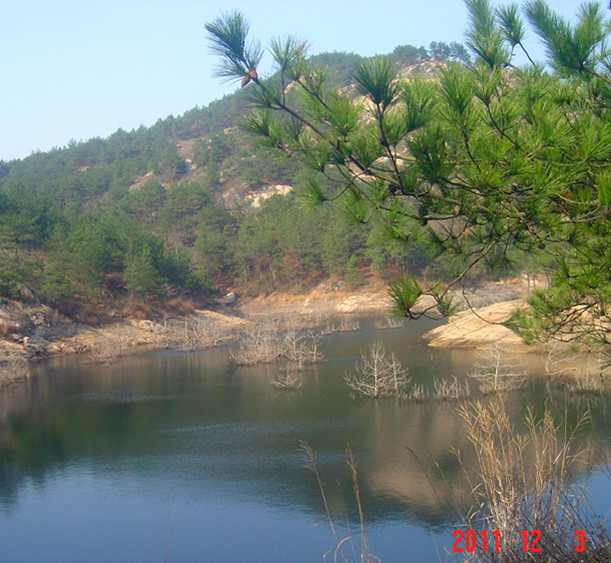 dsc02986_.jpg