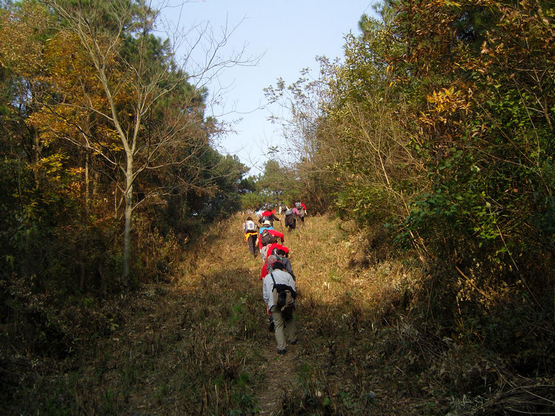 snc10091.jpg